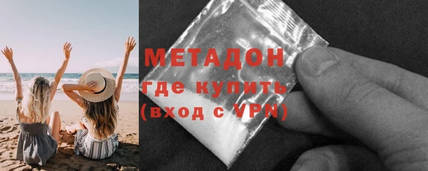 хмурый Аркадак