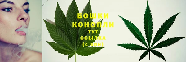 ПСИЛОЦИБИНОВЫЕ ГРИБЫ Баксан