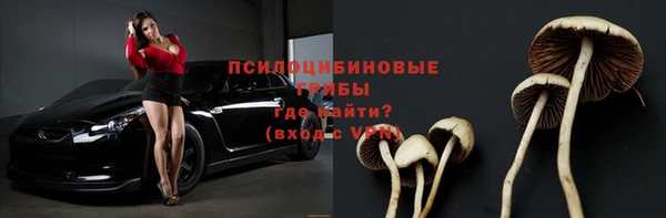 ПСИЛОЦИБИНОВЫЕ ГРИБЫ Баксан