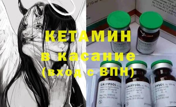 хмурый Аркадак