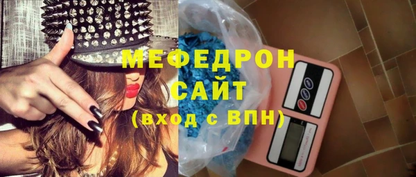 хмурый Аркадак