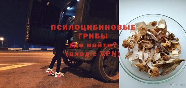 дмт Армянск