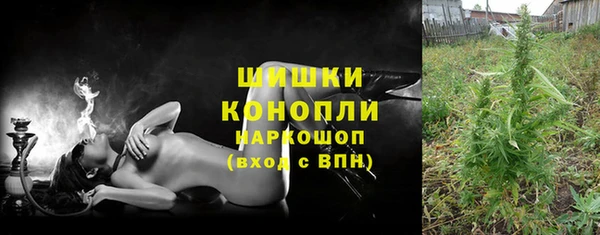 хмурый Аркадак