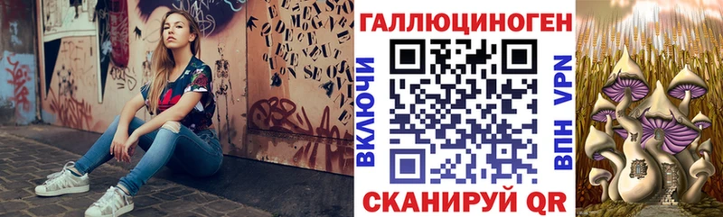 OMG онион  где продают   Новокубанск  Галлюциногенные грибы GOLDEN TEACHER 